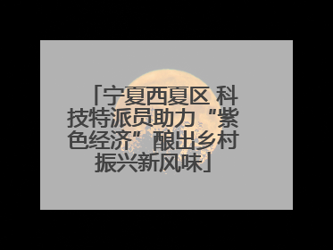 宁夏西夏区 科技特派员助力“紫色经济”酿出乡村振兴新风味
