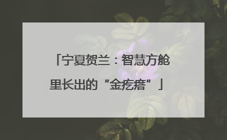 宁夏贺兰：智慧方舱里长出的“金疙瘩”