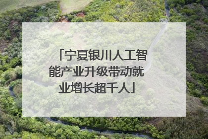 宁夏银川人工智能产业升级带动就业增长超千人