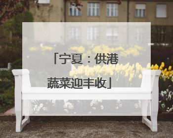 宁夏：供港蔬菜迎丰收