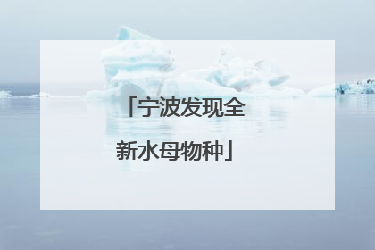 宁波发现全新水母物种