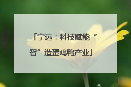 宁远：科技赋能“智”造蛋鸡鸭产业