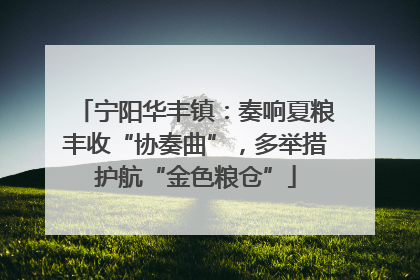 宁阳华丰镇：奏响夏粮丰收“协奏曲”，多举措护航“金色粮仓”