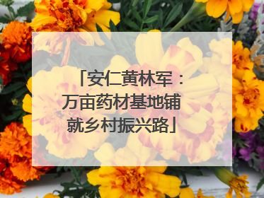 安仁黄林军：万亩药材基地铺就乡村振兴路