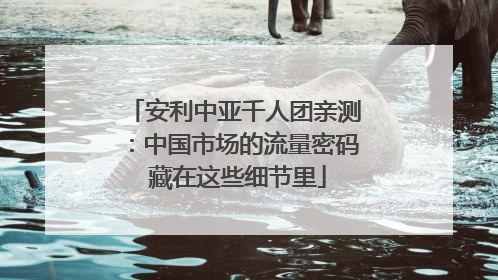 安利中亚千人团亲测：中国市场的流量密码 藏在这些细节里