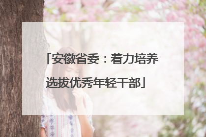 安徽省委：着力培养选拔优秀年轻干部