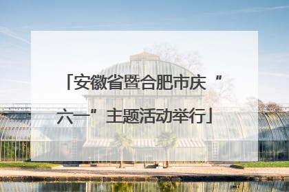 安徽省暨合肥市庆“六一”主题活动举行