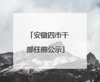 安徽四市干部任前公示