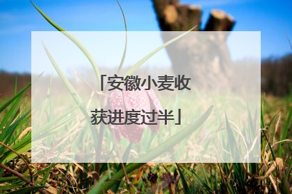 安徽小麦收获进度过半
