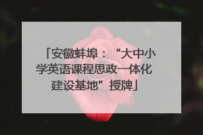 安徽蚌埠：“大中小学英语课程思政一体化建设基地”授牌