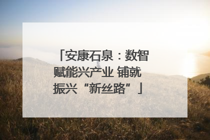 安康石泉：数智赋能兴产业 铺就振兴“新丝路”