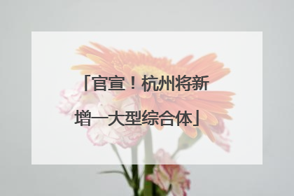 官宣！杭州将新增一大型综合体