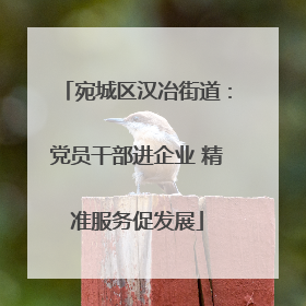 宛城区汉冶街道：党员干部进企业 精准服务促发展