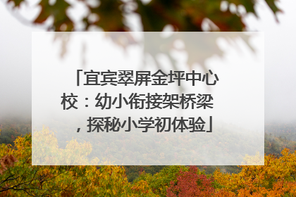 宜宾翠屏金坪中心校：幼小衔接架桥梁，探秘小学初体验