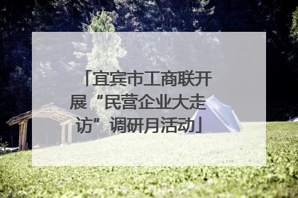 宜宾市工商联开展“民营企业大走访”调研月活动