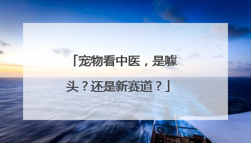 宠物看中医，是噱头？还是新赛道？