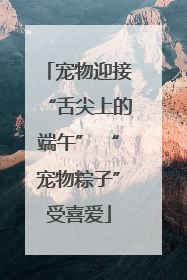 宠物迎接“舌尖上的端午” “宠物粽子”受喜爱