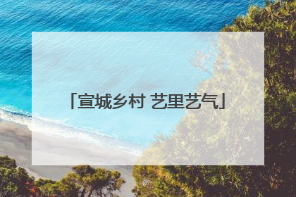 宣城乡村 艺里艺气