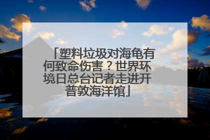 塑料垃圾对海龟有何致命伤害？世界环境日总台记者走进开普敦海洋馆