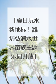 夏日玩水新地标！潍坊弘润水世界苗族主题乐园开放