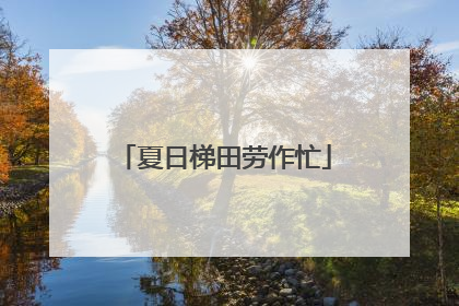 夏日梯田劳作忙