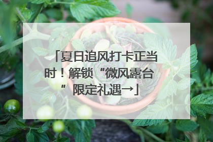 夏日追风打卡正当时！解锁“微风露台”限定礼遇→