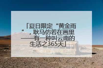 夏日限定“黄金雨”，耿马仿若在画里——有一种叫云南的生活之365天