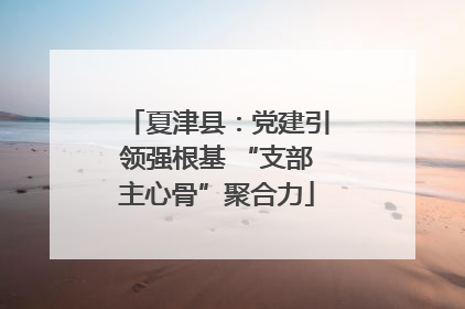 夏津县：党建引领强根基 “支部主心骨”聚合力