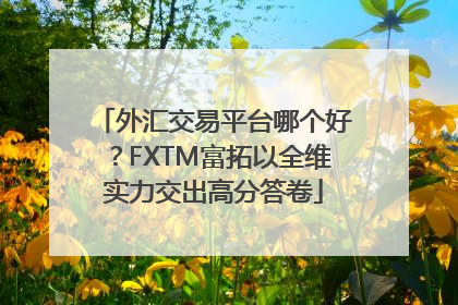 外汇交易平台哪个好？FXTM富拓以全维实力交出高分答卷
