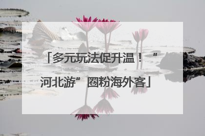多元玩法促升温！“河北游”圈粉海外客