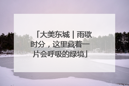 大美东城｜雨歇时分，这里藏着一片会呼吸的绿境