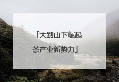 大别山下崛起茶产业新势力