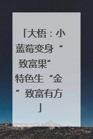 大悟：小蓝莓变身“致富果” 特色生“金”致富有方