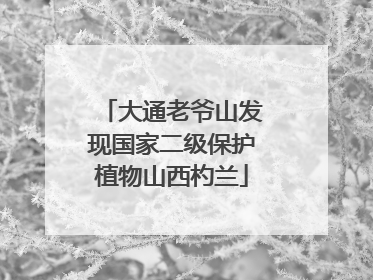 大通老爷山发现国家二级保护植物山西杓兰