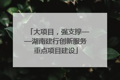 大项目，强支撑——湖南建行创新服务重点项目建设