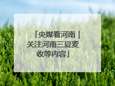 央媒看河南｜关注河南三夏麦收等内容