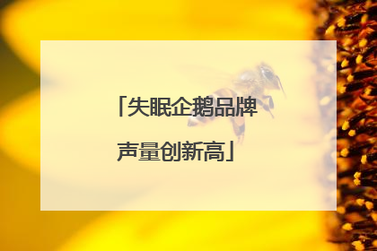 失眠企鹅品牌声量创新高
