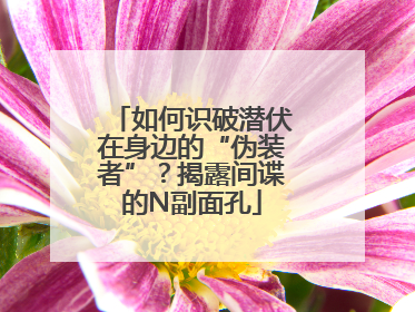 如何识破潜伏在身边的“伪装者”？揭露间谍的N副面孔