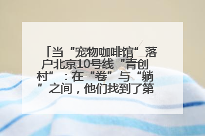 当“宠物咖啡馆”落户北京10号线“青创村”：在“卷”与“躺”之间，他们找到了第三种生活公式