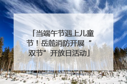 当端午节遇上儿童节！岳麓消防开展“双节”开放日活动