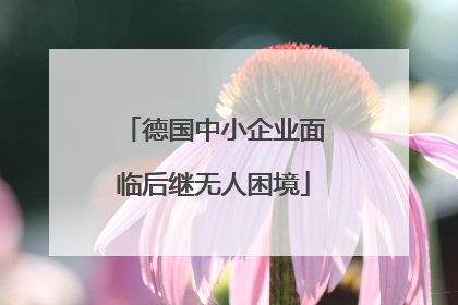 德国中小企业面临后继无人困境