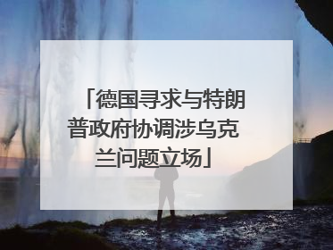 德国寻求与特朗普政府协调涉乌克兰问题立场