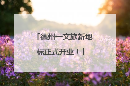 德州一文旅新地标正式开业！
