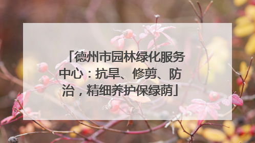 德州市园林绿化服务中心：抗旱、修剪、防治，精细养护保绿荫