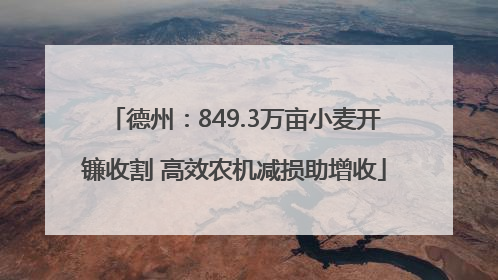 德州：849.3万亩小麦开镰收割 高效农机减损助增收