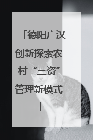 德阳广汉创新探索农村“三资”管理新模式