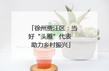 徐州贾汪区：当好“头雁”代表 助力乡村振兴