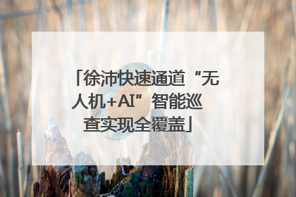 徐沛快速通道“无人机+AI”智能巡查实现全覆盖
