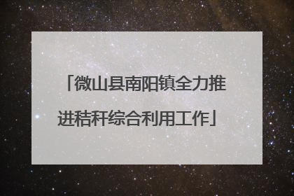 微山县南阳镇全力推进秸秆综合利用工作