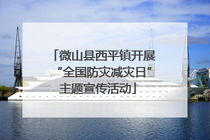 微山县西平镇开展“全国防灾减灾日”主题宣传活动